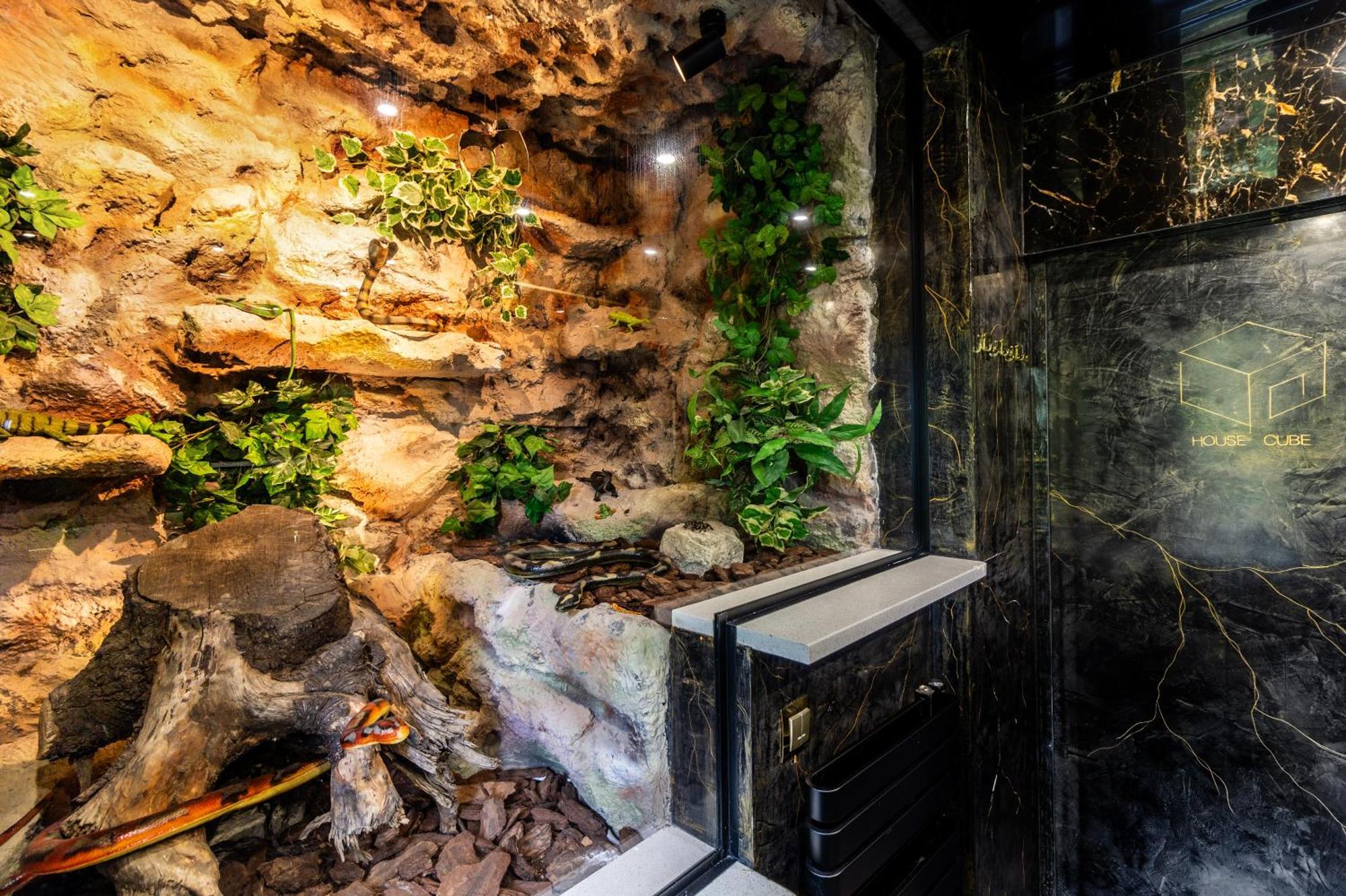 Housecube, Bar , Prywatne Kino, Bilard , Luxus Βίλα Βρότσλαβ Εξωτερικό φωτογραφία